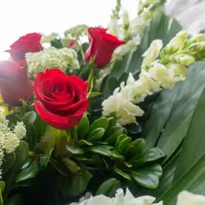 DSC01100